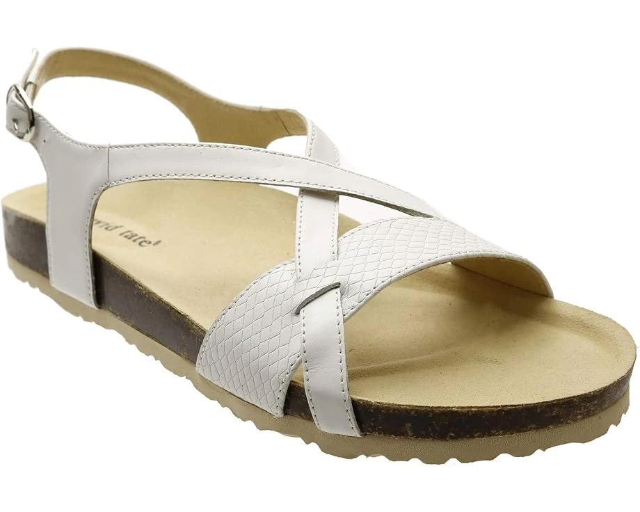 David Tate Genius 1 David Tate Genius